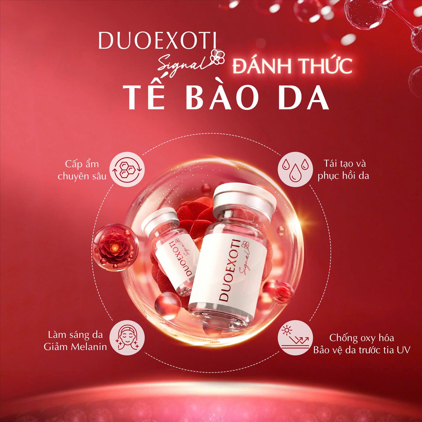 lợi ích signal.jpg